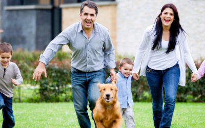 Seguro para Mascotas ¿y eso existe?