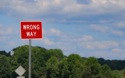 Riesgo Moral y su Influencia en las Pólizas de Seguro